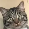 jerrysanta88 - @jerrysanta88 - TikTok