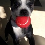 Jerry Shelton - @jerrysellswine - Instagram