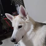 Jerry Settle - @jester587 - Instagram