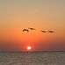 Jerry Sheets - Facebook