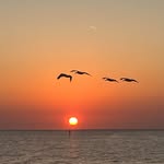 Jerry Sheets - @jerrysheets1 - Instagram