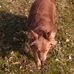 Jerry Sherrod - Facebook