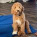 Jerry Sherrod - Facebook