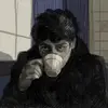 Jerry Shoemaker - @jerryshoemaker110 - TikTok