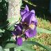 Jerry Shore - Facebook