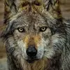 Jerry Shore - @jerry.shore - TikTok