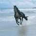 Jerry Shrum - Facebook