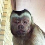 Jerry Shrum - @shrumjerry - Instagram