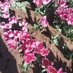 Jerry Sills - @1171jerry - Instagram