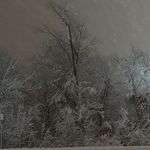Jerry Singleton - @singletonandsonexcavating - Instagram