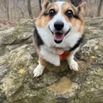 Jerry Sinkula - @jerrysinkula - Instagram