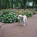 Jerry Sisco - @siscojerry - Instagram