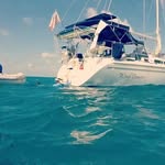 s/v Plover ☠️ RIP - @skipper_jerry_kook - Instagram