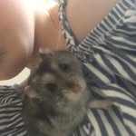 Jerryslays - @jerryslays123 - Instagram