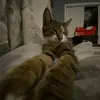 user7749011475457 - @jerry.slays - TikTok