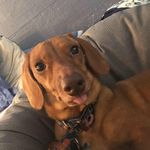 Jerry Slusher - @kurushishifu - Instagram