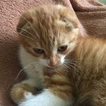 Jerry small - @jerry_is_small - Instagram
