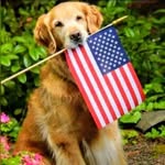 Jerry Smith - @jerrysmith0765 - Instagram