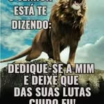 Jerry Sousa - @jerry.sousa.5851 - Instagram