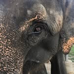 Jerry Speight - @jerry.speight.52 - Instagram
