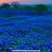 Jerry Spivey - Facebook