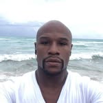 @jerryspring.field - Instagram