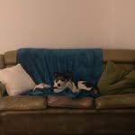 Jerry - @jerry.st.clair - Instagram