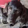 Jerry St Claire - @jerry.st.claire - TikTok