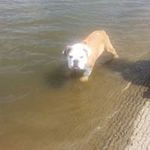 Jerry Steele - @steele2864 - Instagram
