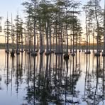 Jerry Steele - Facebook