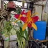 jerrysteele981 - @jerrysteele981 - TikTok