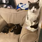 Tom Jerry Stickley - Facebook