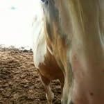 @stidhamjerry - Instagram