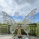 Jerry Still - @jerry_still - Instagram