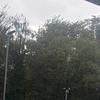 Jer - @jerry.stiner - TikTok