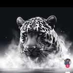 Jerry Stock - Facebook