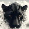 Jerry Stock - @jerry.stock1 - TikTok