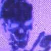 ßẹɓ💯 - @jerry_with_dastocks - TikTok