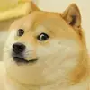 jerryd_storer - @jerryd_storer - TikTok