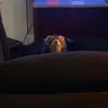 Old man Jenkins - @jerrydstorer - TikTok