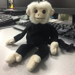 Jerry Strom - @jerrythemonkey_ - Instagram