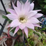 Jerry Stromer - Facebook