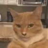 077110 - @jerrystuff0 - TikTok