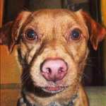 @jerry_stuff - Instagram