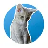 Jerry's Stuff - @jerrys_stuff - TikTok