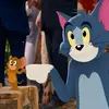 user4423500550500 - @tom..and..jerry_stuff - TikTok