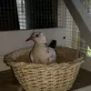 Jerry Stutts - @jerry.stutts - TikTok