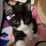@jerrysudahbesar - Instagram