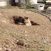 jerrysuiter1 - @jerry.suiter - TikTok