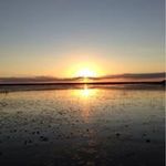 Jerry Su - @jerrysuiter - Instagram